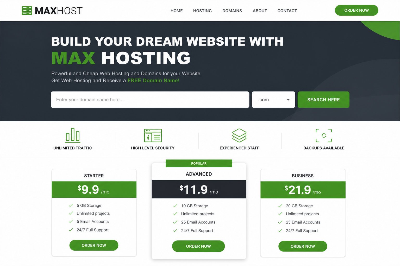 Server hosting demo homepage with hero banner, domain-search bar, and plan pricing cards